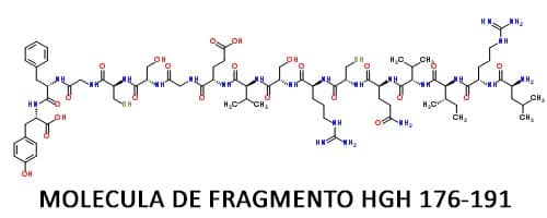 Molécula de Fragmento HGH 176-191