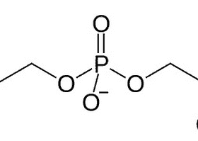 Molécula de Alpha GPC